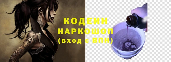 индика Абинск