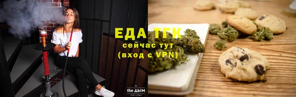 индика Абинск