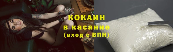 индика Абинск