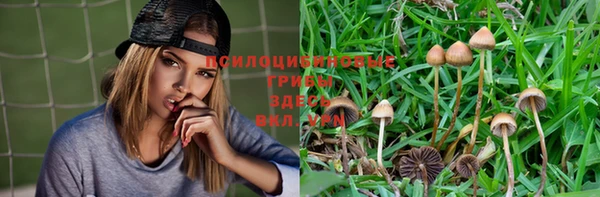 индика Абинск