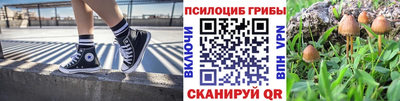 Галлюциногенные грибы ЛСД  Кингисепп 