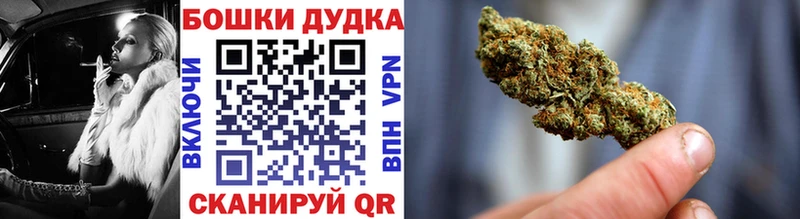 продажа наркотиков  Кингисепп  Конопля планчик 